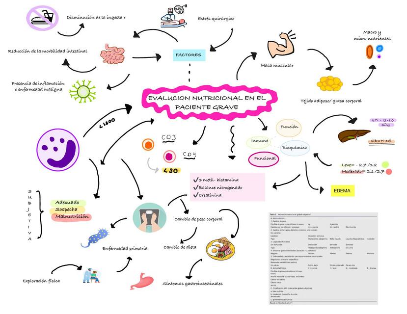 Evaluación nutricional en el paciente grave 