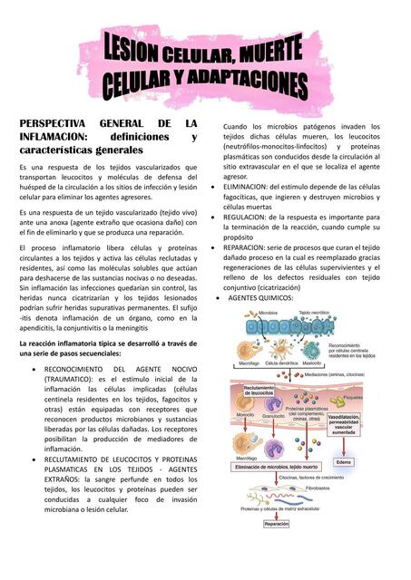 Lesion celular, muerte celular y adaptaciones 