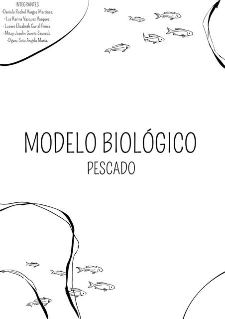 Modelo Biológico 