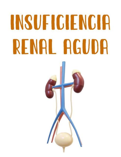  Insuficiencia renal aguda 