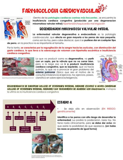 Farmacología aplicada cardiovascular