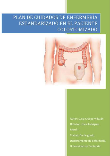 Plan de cuidados de enfermería  