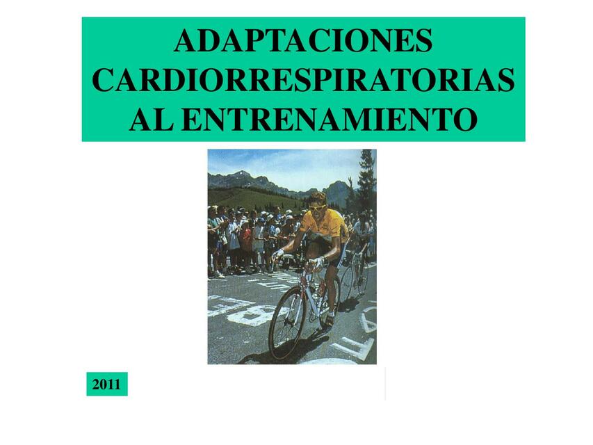 Adaptaciones Cardiorrespiratorias 