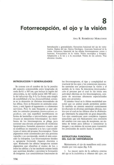 Fotorrecepción, el Ojo y la Visión 