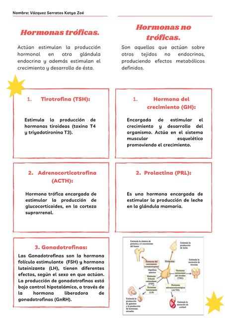 Hormonas tróficas y no tróficas