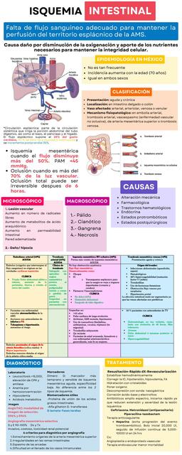 Isquemia Intestinal