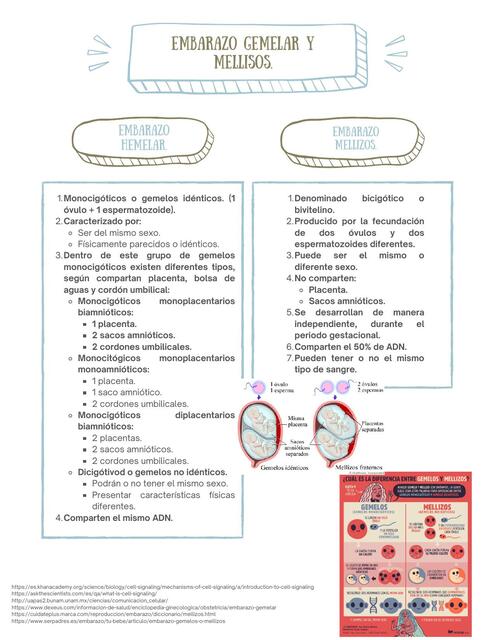 Embarazo gemelar y mellizos