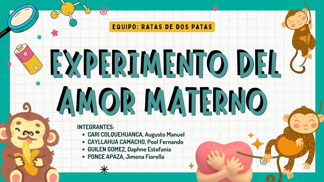 Experimento del Amor Materno 