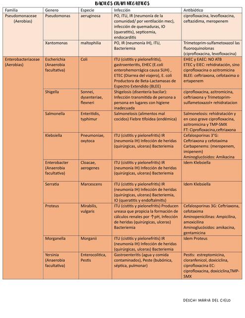 Bacterias, infecciones y antibióticos