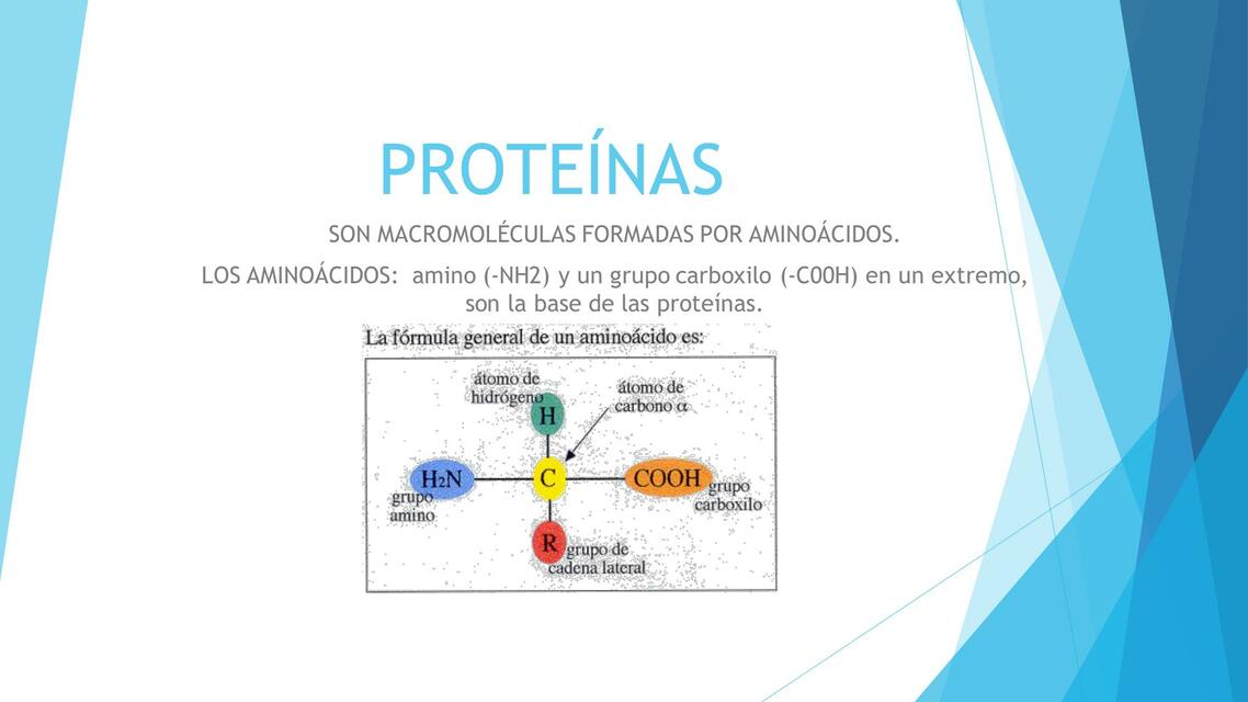 Proteínas 