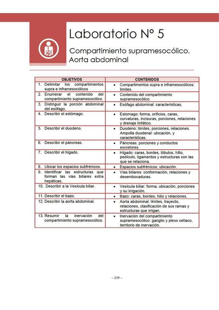 Compartimiento supramesocólico aorta abdominal