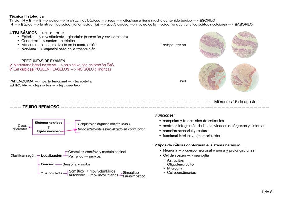 Histologia - Tejido nervioso, tejido muscular y tejido oseo