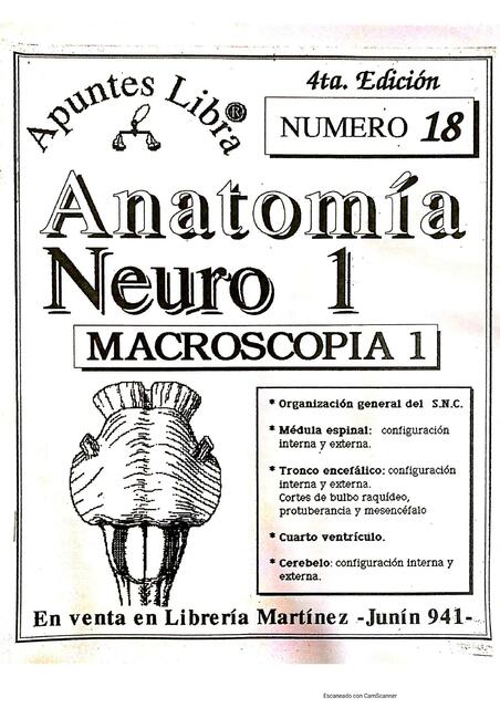 Anatomía neuro microscopia 