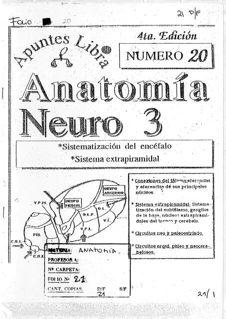 Anatomía neuro 3 