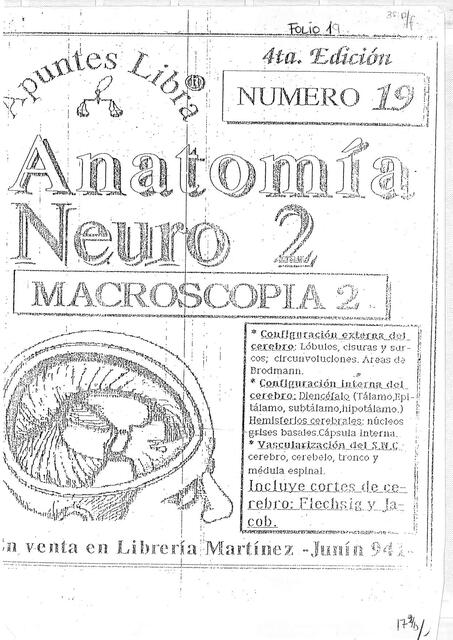 Anatomía neuro 2 