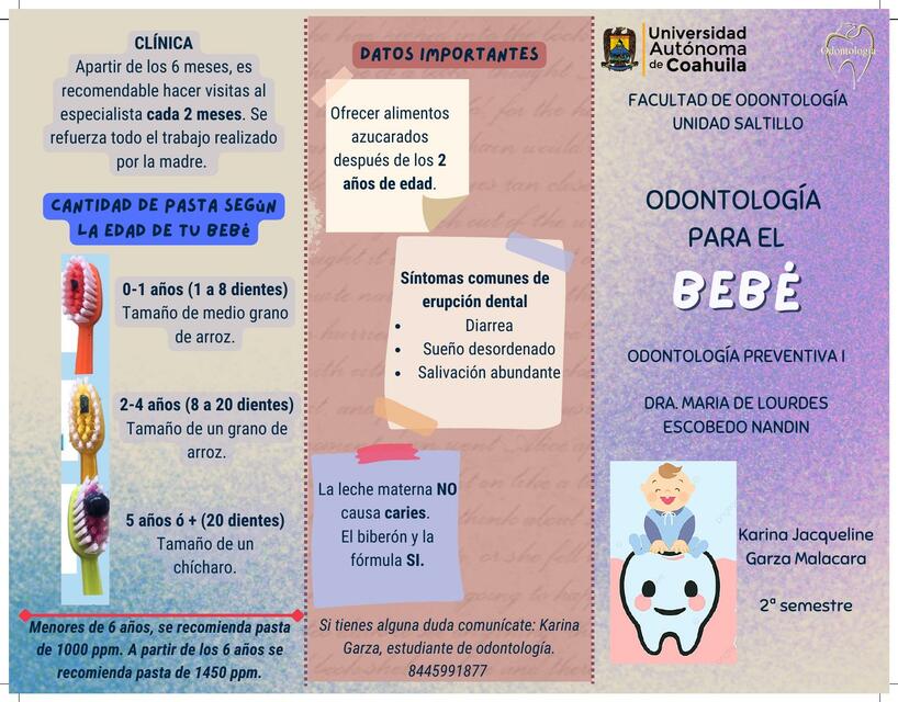 Tríptico Odontología para el bebé