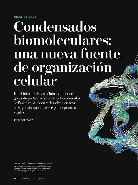 Condensados Biomoleculares 