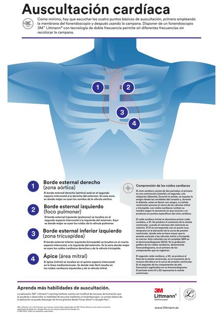 Auscultación cardíaca 