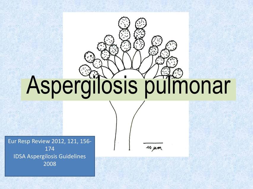 ASPERGILOSIS PULMONAR HUMANO NEUMOLOGIA 