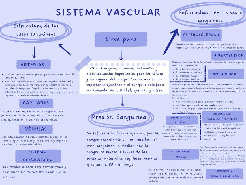 Mapa conceptual sistema vascular