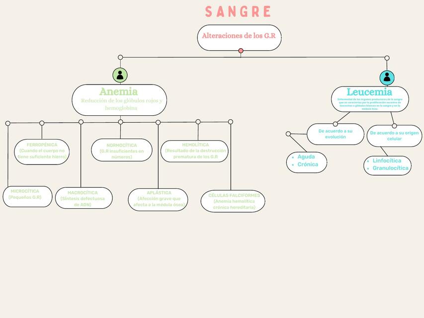 Mapa conceptual de sangre