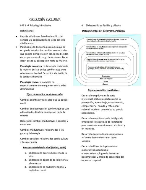 Psicologia evolutiva