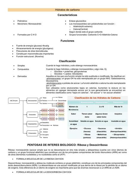 Hidratos de carbono