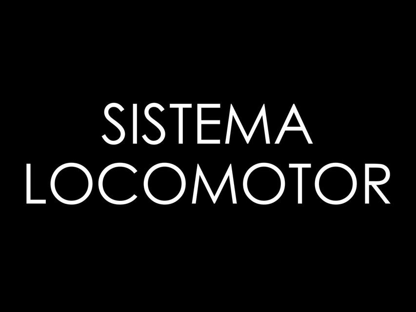 Sistema Locomotor 