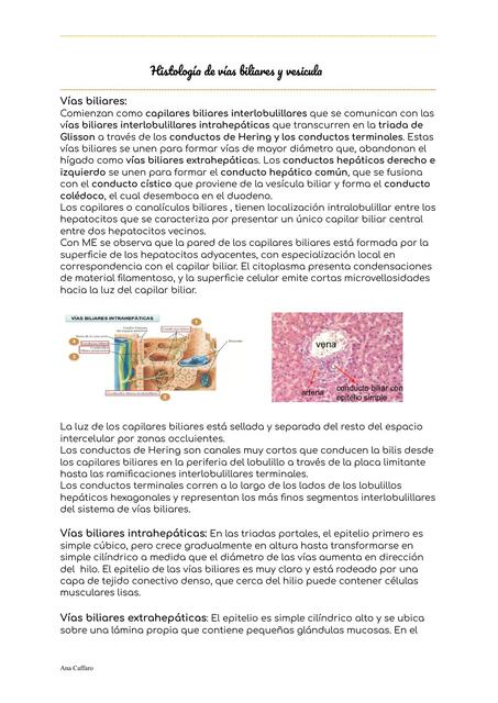 Histología de vías biliares y vesicula 