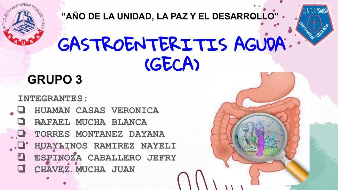 Gastroenteritis aguda (GECA)