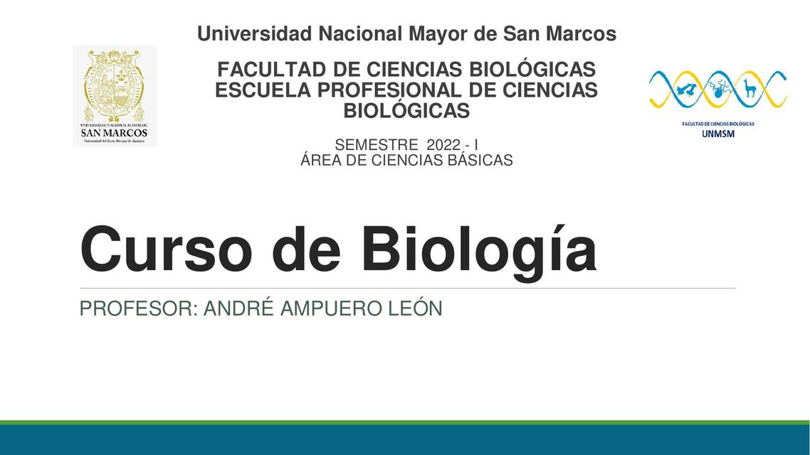 Procesos de Respiración Celular y Fotosíntesis 