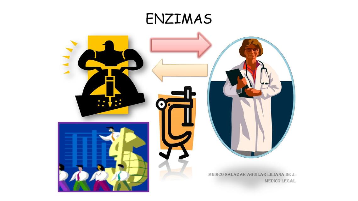 Enzimas 