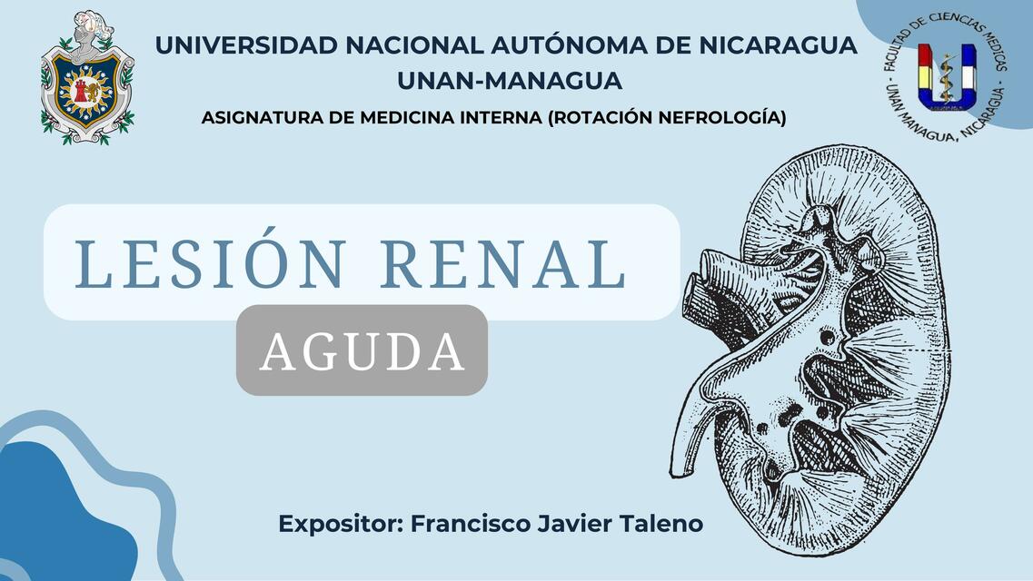 Lesión renal 