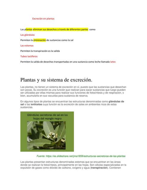 Excreción en plantas