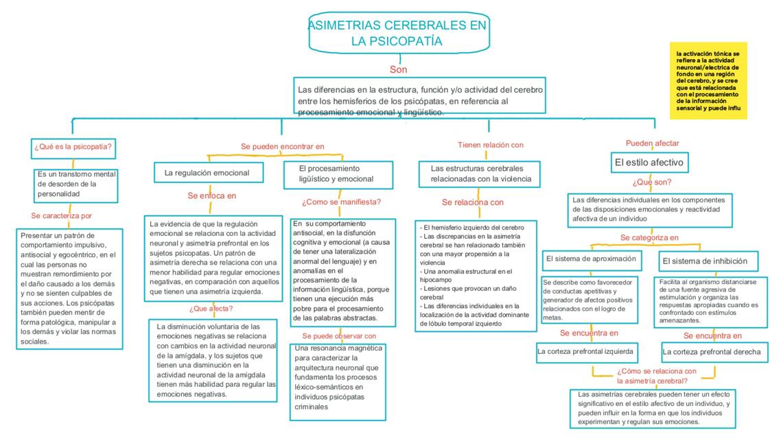 Asimetrías cerebrales en la psicopatía