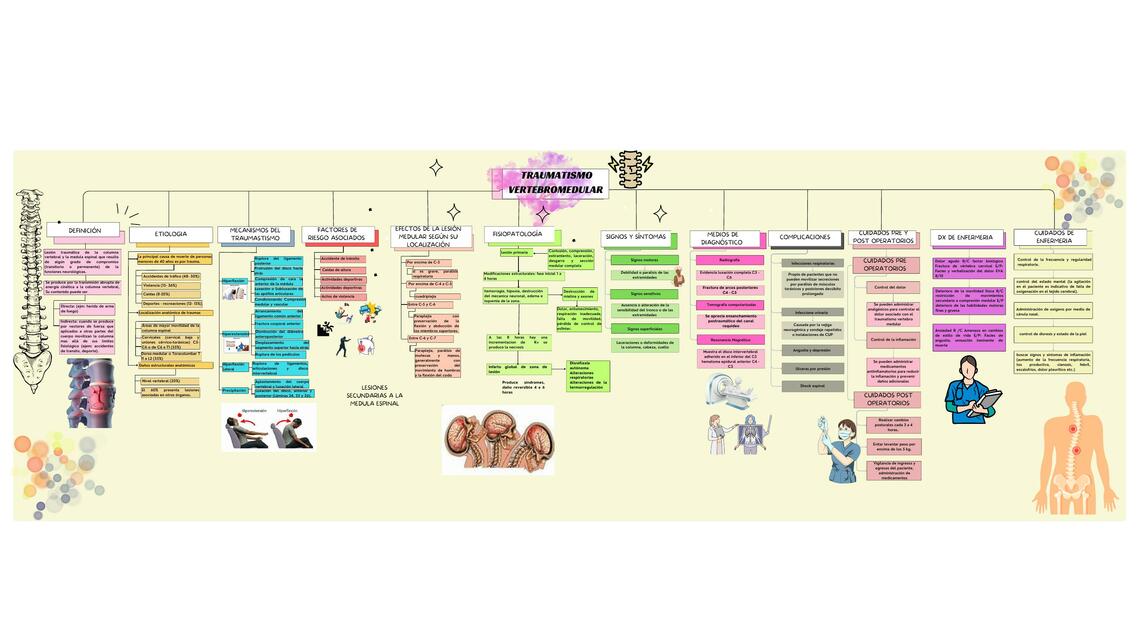 Mapa conceptual de traumatismo vertebromedular