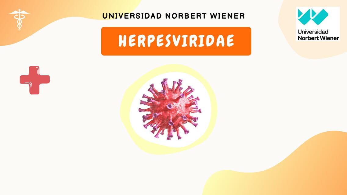 Herpesviridae y sarampión