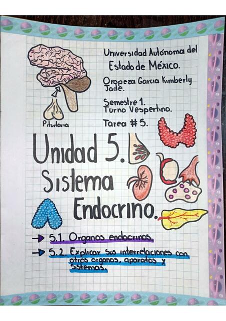 Unidad 5 Sistema Endocrino