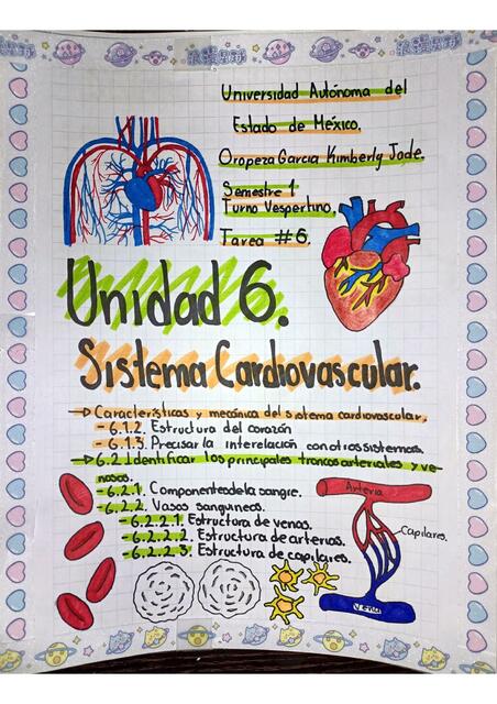 Unidad 6 Sistema Cardiovascular