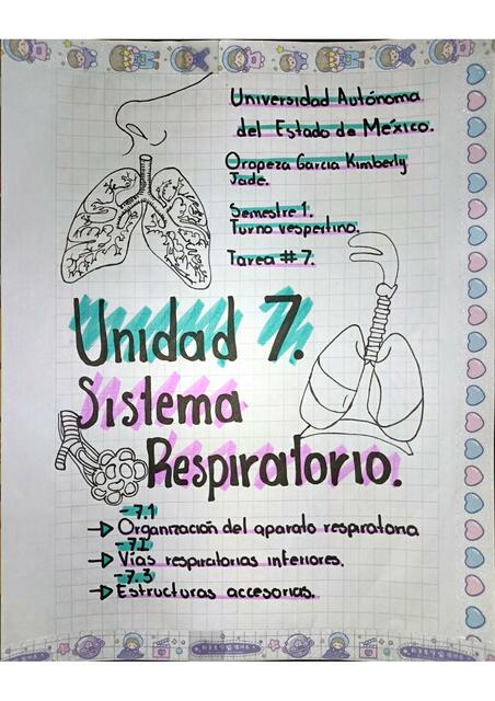 Unidad 7 Sistema Respiratorio