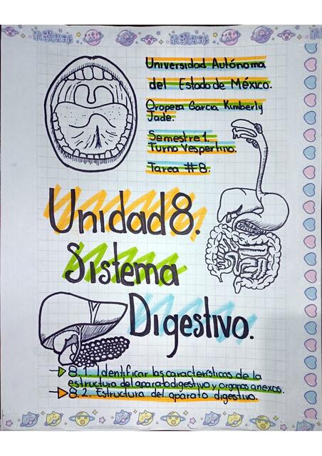 Unidad 8 Sistema Digestivo