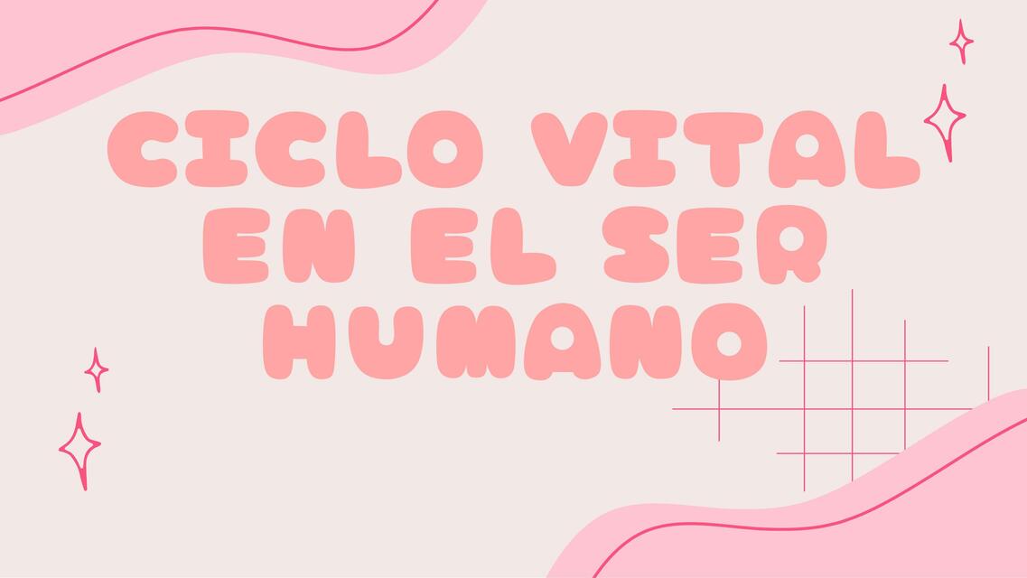 Ciclo vital del ser humano