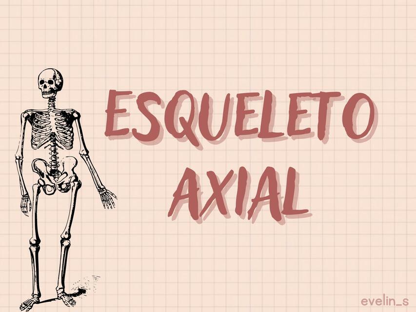 Esqueleto axial