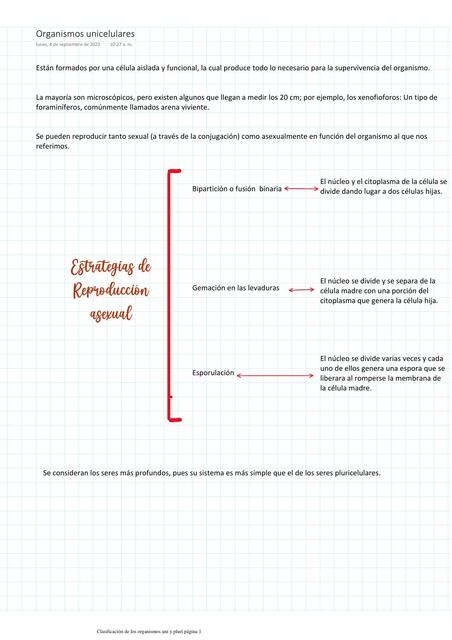 Clasificación de los organismos unicelulares y pluricelulares