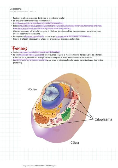 Componentes Celulares: Estructura y Función 