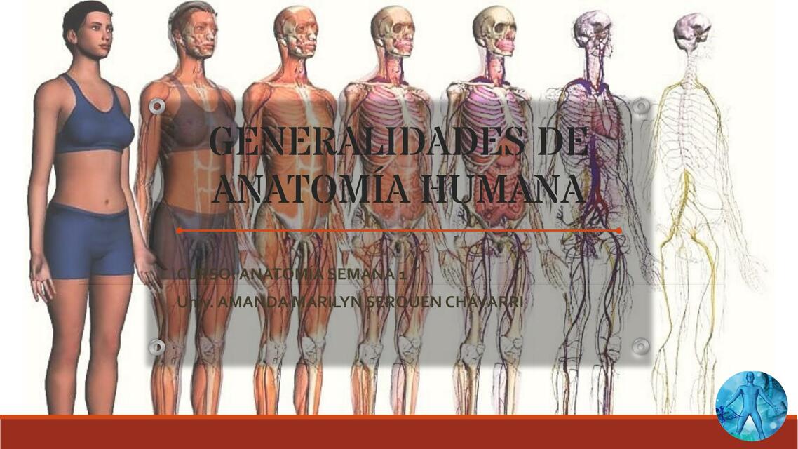 Generalidades de anatomía humana