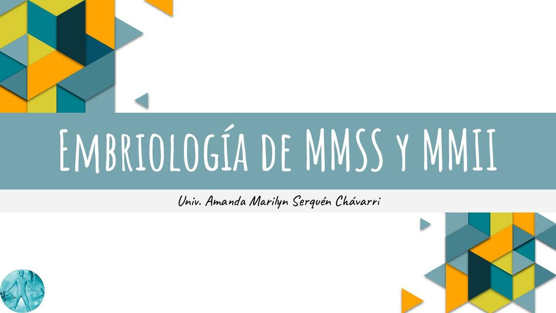 Embriología de MMSS y MMII 