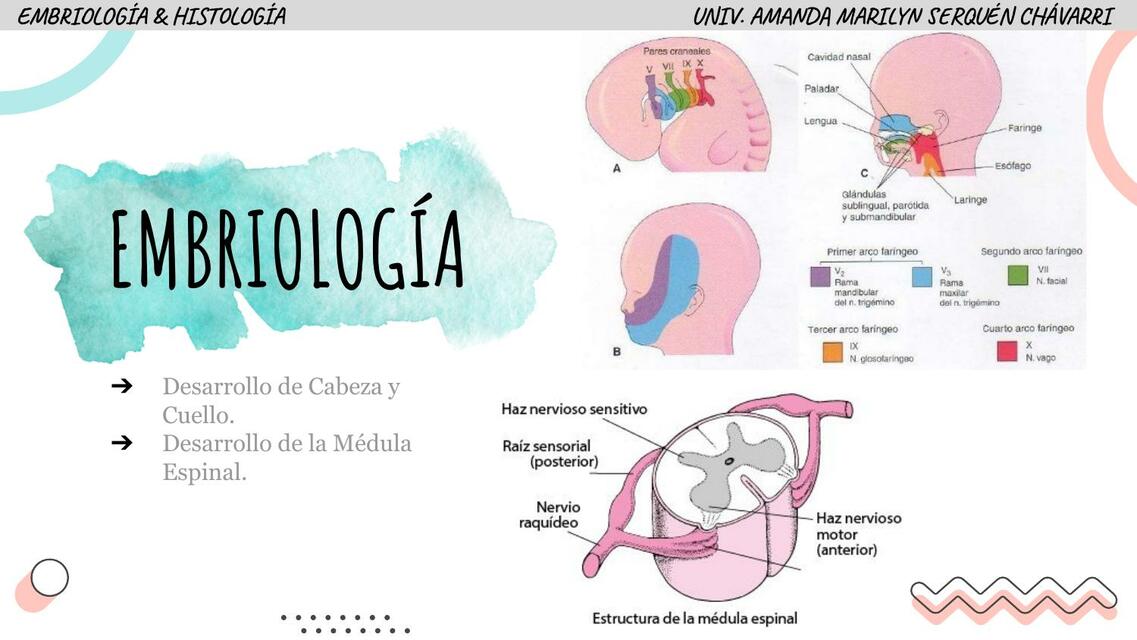 Embriología e Histología 