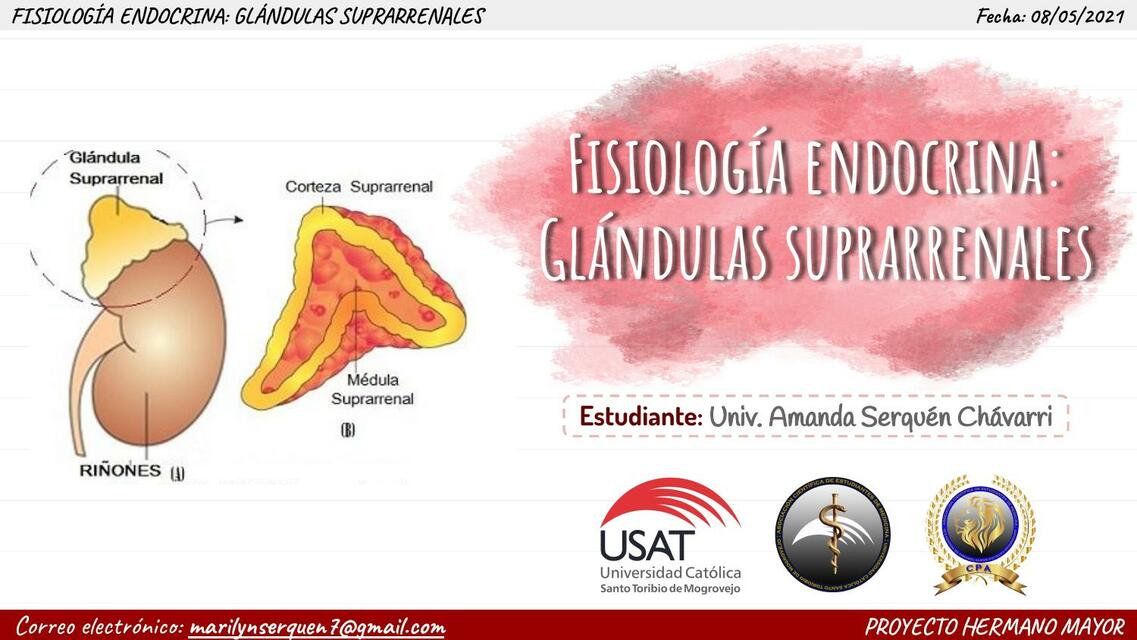 Fisiología Endocrina: Glándulas Suprarrenales 