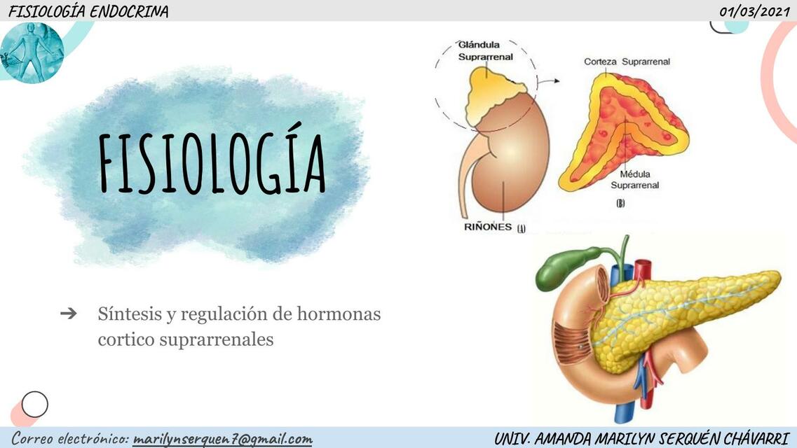 Fisiología 